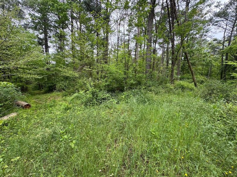 Pleasants, WV 168.59 AC Superior, Swank, Young-087