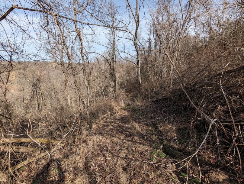 PXL_20230301_160548229