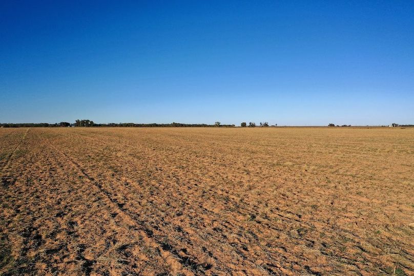 org_aec22f16586ef968_1762730988000