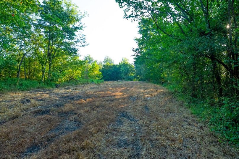 Copy of DSC06249 Large