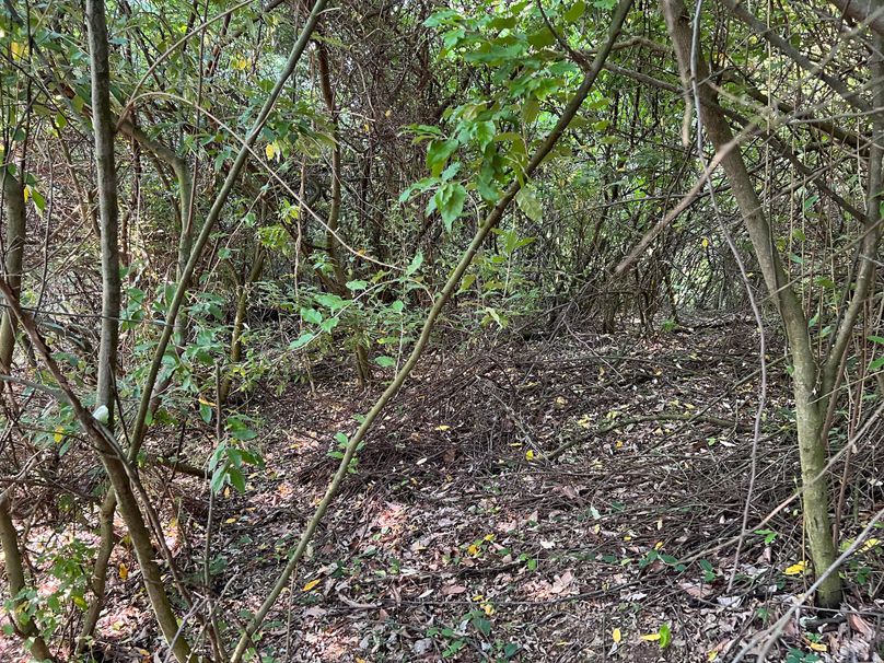 Wirt, WV 150.75 AC Tinnell-58