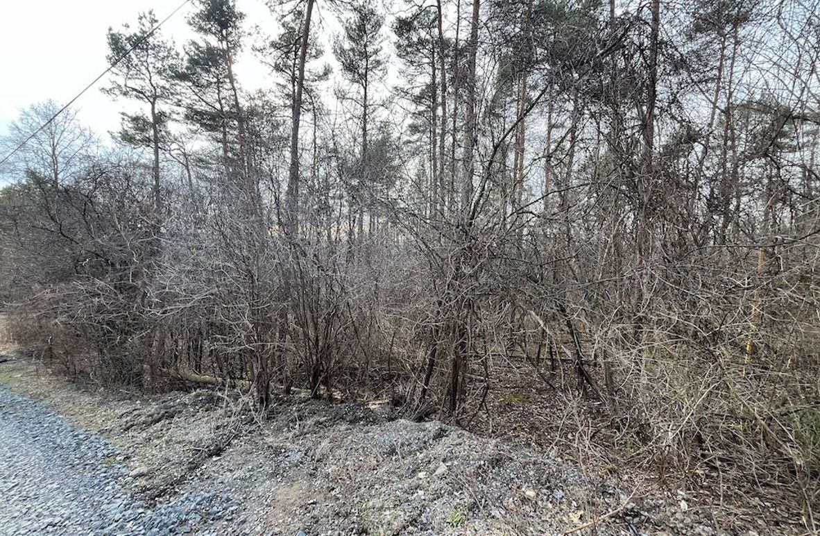 Yates_11.492_Mezer Photo 3