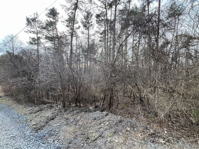 Yates_11.492_Mezer Photo 3