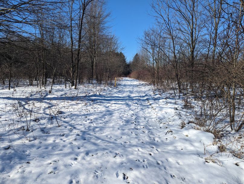 PXL_20230202_160720410