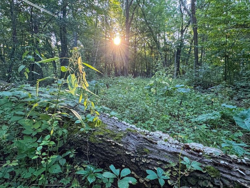 Pantzke Ground Photos-17