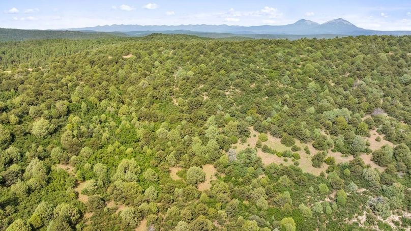 DJI_20250701113054_0023_D_1