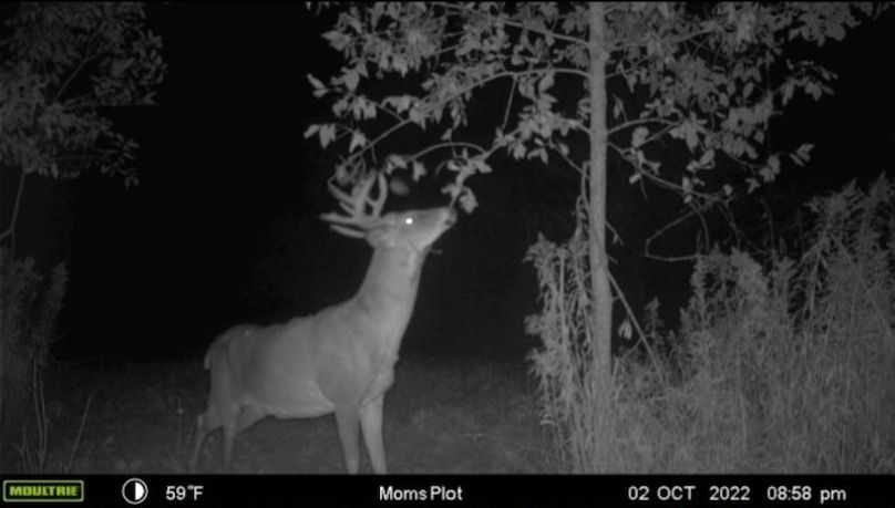 Screenshot_20221003-120616