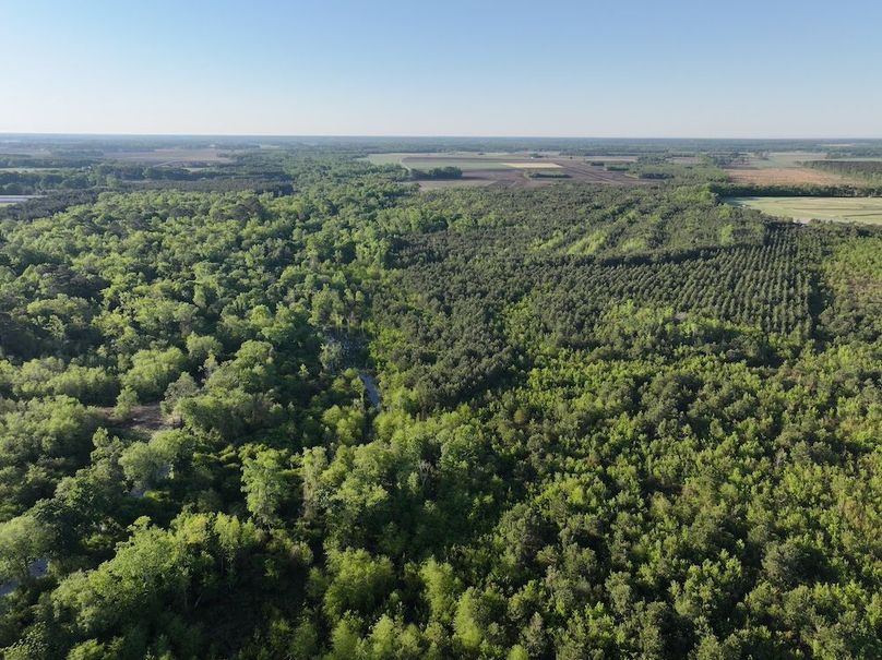 DJI_20250417073520_0024_D