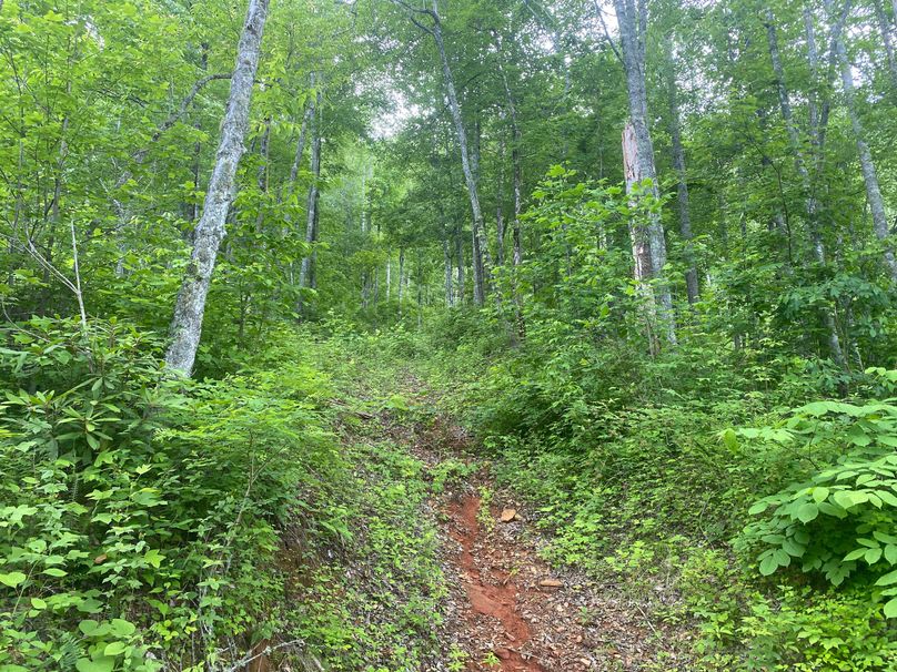 Swain 39 Tysinger-24