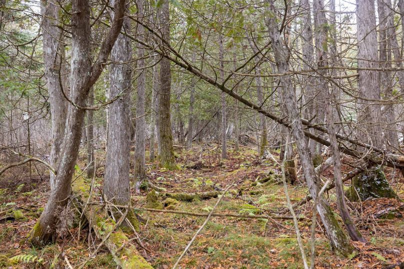 Mackinac 31.5 Noteboom-1733