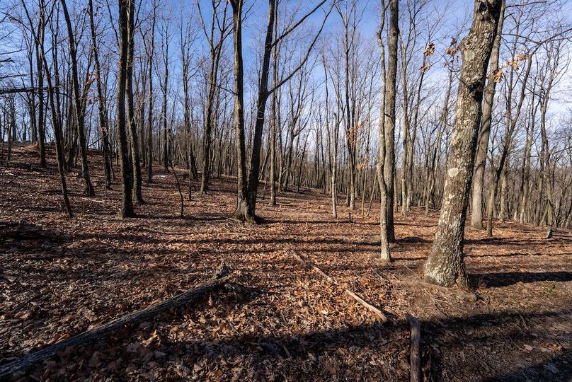 Copy of Hampshire WV 200 Featured_Pro Photo-3