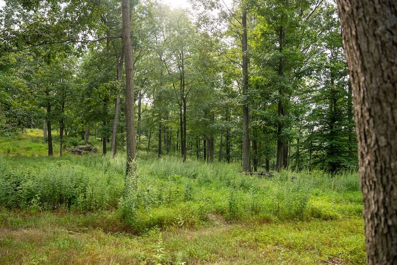 Orvis Listing Photos51