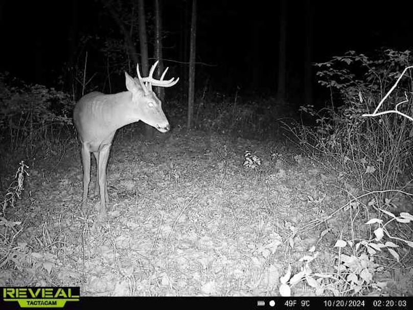 865814048154676-80-2-10202024022002-W1000539