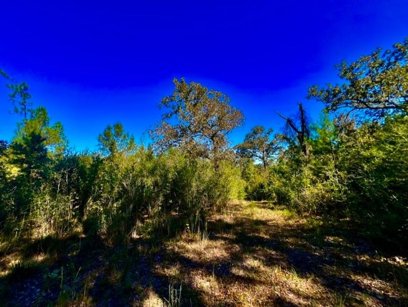 11D9439A-3417-4458-A94A-160751EC8B07_1_105_c