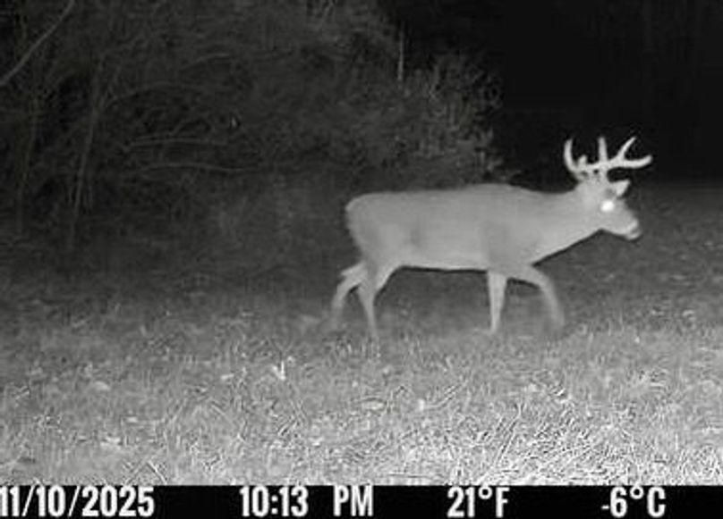 97872C0E-C4CD-41D4-B4F2-E94F28697A16_4_5005_c