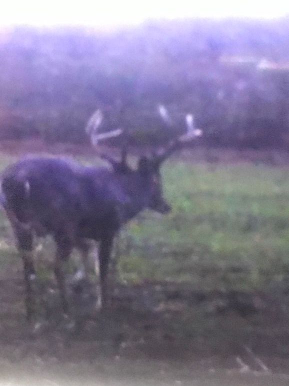 9A34ABE7-4034-4463-86C4-915C13D9E60A