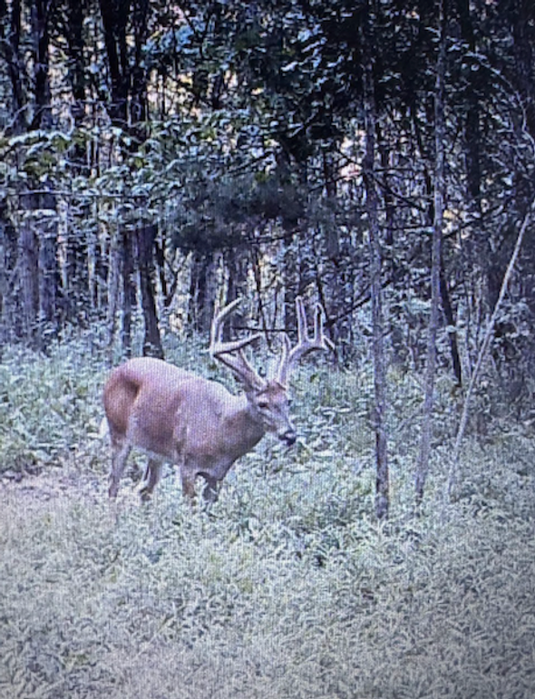 Screenshot 2026-03-02 at 9.56.06 AM