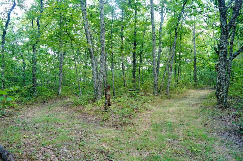 74.Potential Home Site with Mountain Views