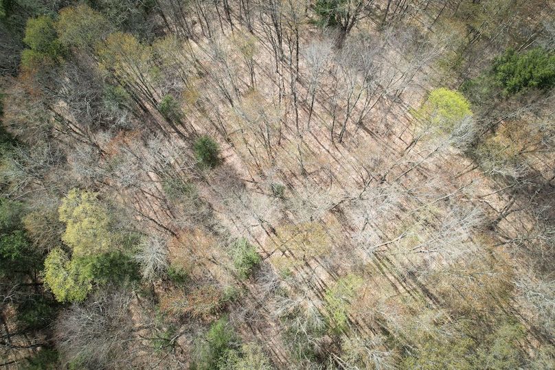 Tioga_76.65_Matyjas_Photos_37