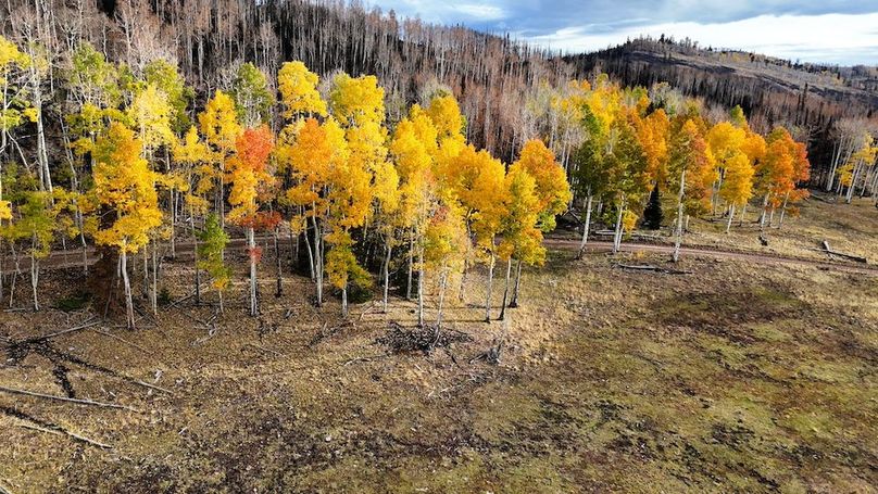 DJI_20250927085509_0125_D