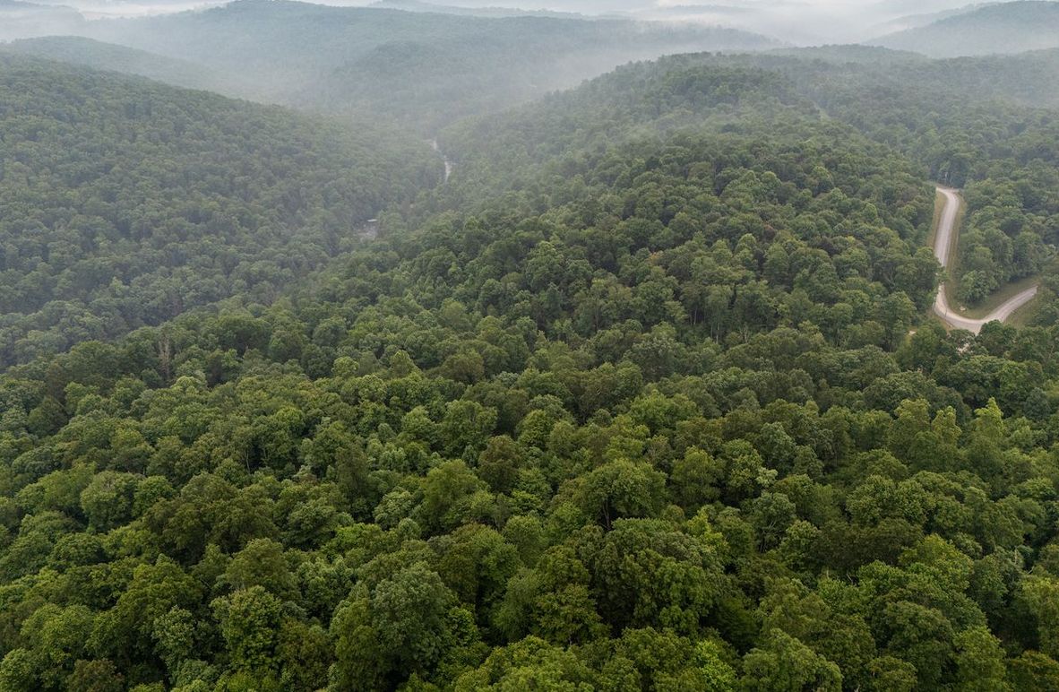 DJI_20250613051008_0383_D