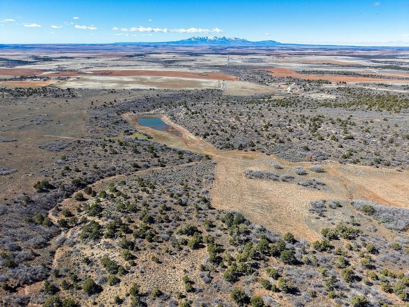 DJI_20260303122421_0058_D