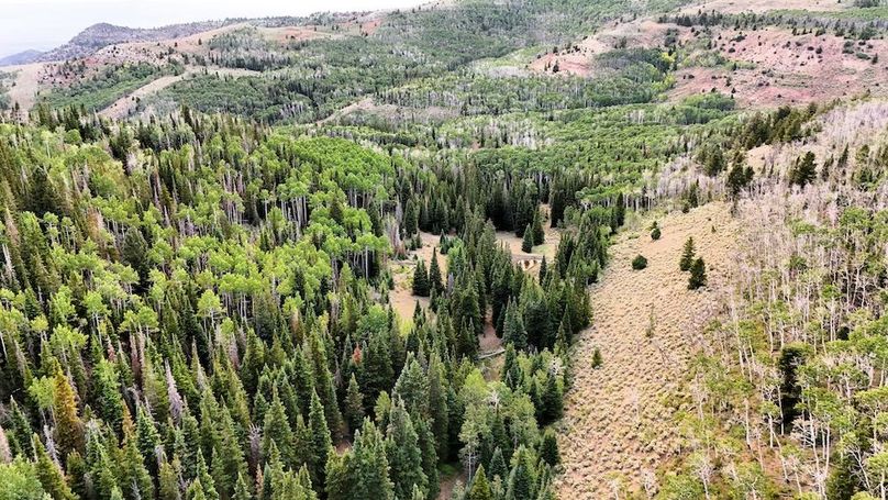 DJI_20250726174202_0142_D