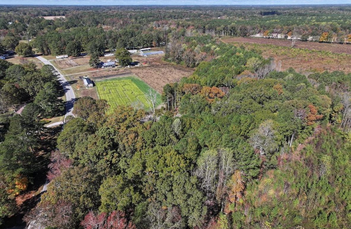 DJI_20251018123752_0137_D