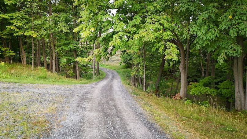 Seneca_65_Engels Photo 50