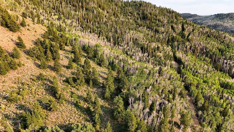 DJI_20250726185950_0262_D