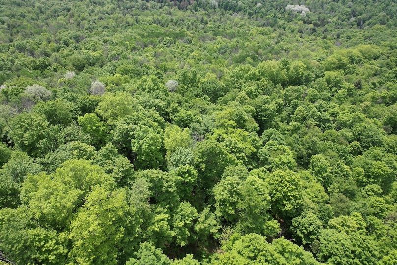 Tioga_78_Biada_Photos_88