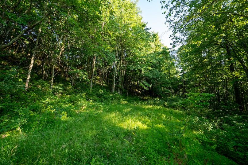 Wetzel WV 171 Featured_Pro Photo-44