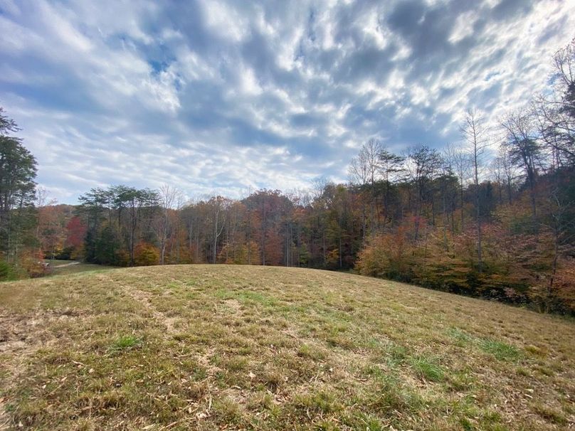 027 the open meadow near the south boundary looking east towards the home site-2