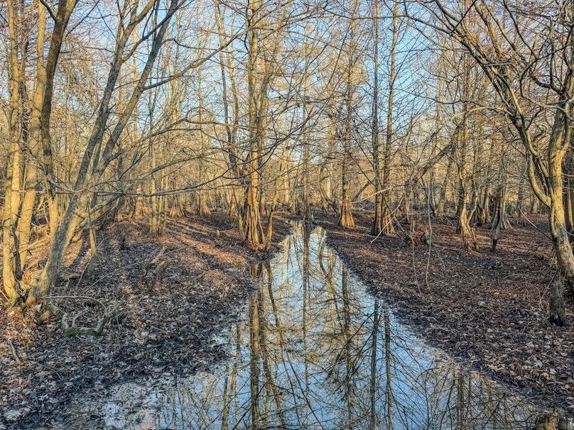 St. Francis 138.5 Calvin Parker Farms Profile -19