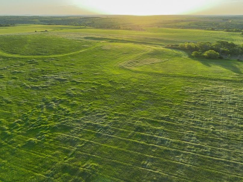 dji_fly_20250512_065334_118_1747051031107_photo