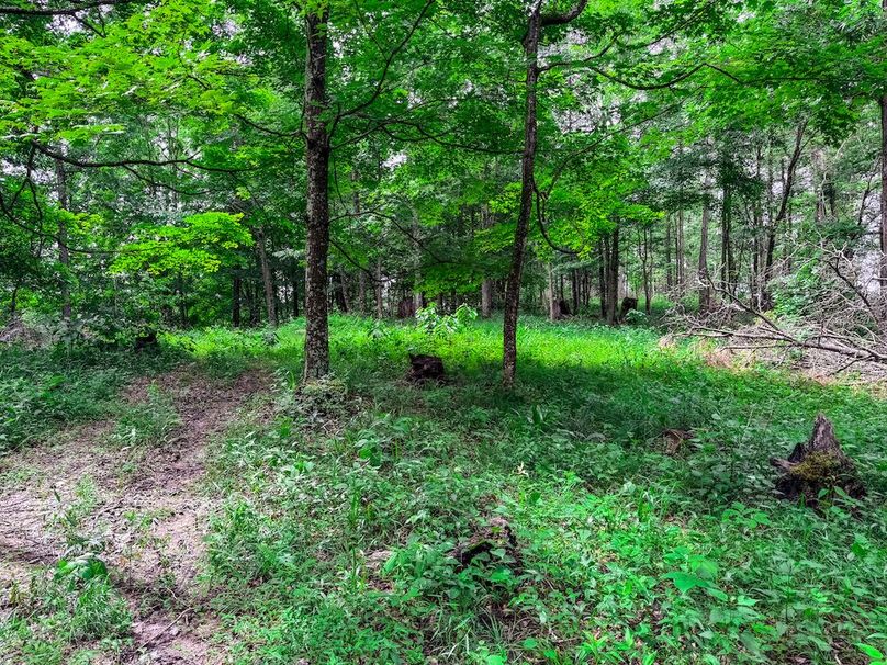 Wirt, WV 137.45 AC Full-29