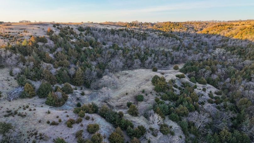 DJI_20260325080252_0141_D
