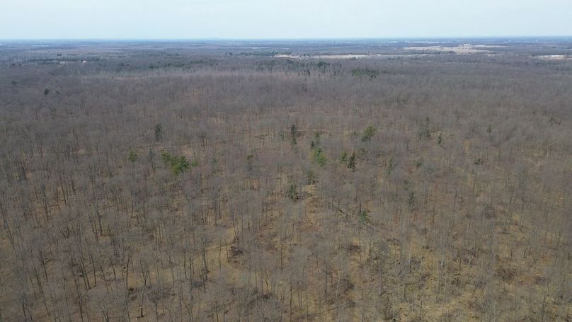 DJI_0152