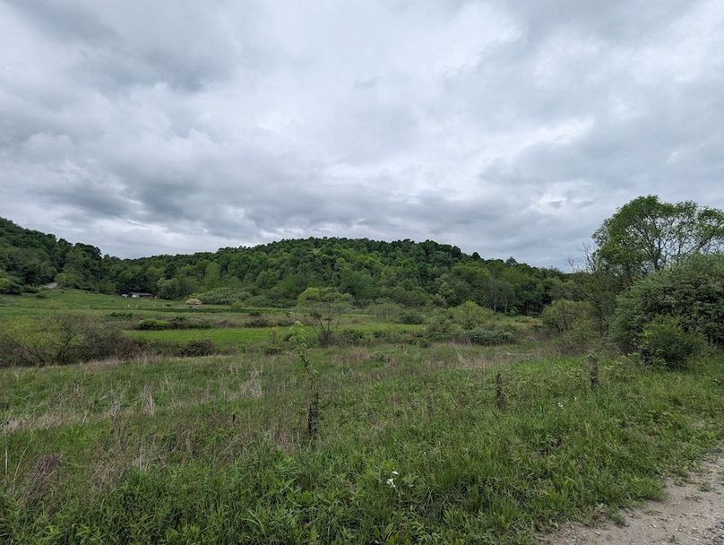 PXL_20240515_154047351