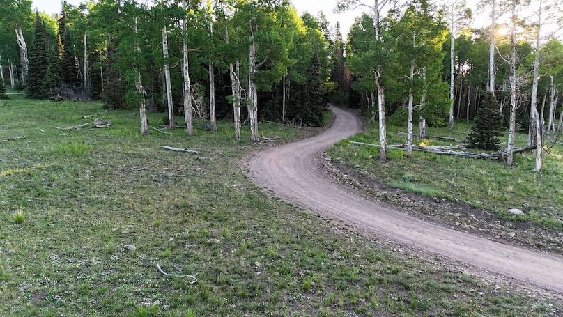 DJI_20250628070254_0195_D