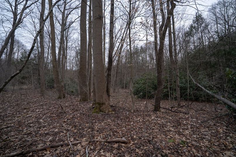 Somerset, 20, Hostetler-26