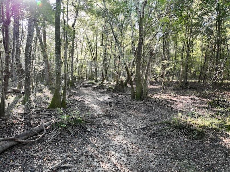 dji_fly_20251013_093820_263_1760364566795_photo