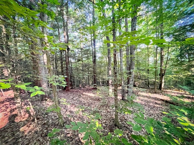 Tioga_82.5_Williams_Photos_26