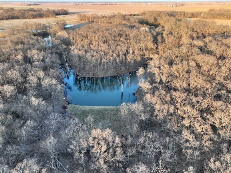 DJI_0152
