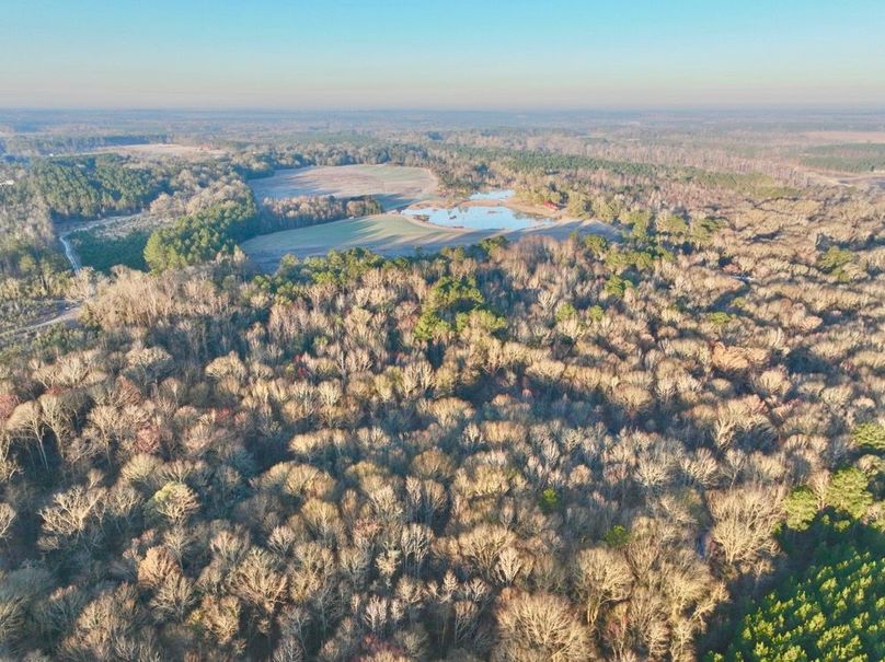 dji_fly_20250222_073920_431_1740228278877_photo
