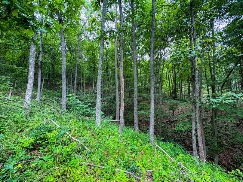 Tyler, WV 46 Lemasters -23