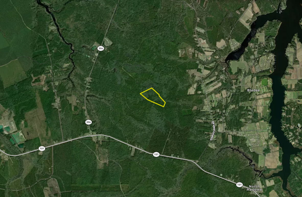 Screenshot 2026-03-30 095036