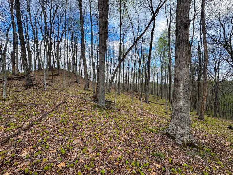 Calhoun, WV 132.84 AC Szegi 2-108