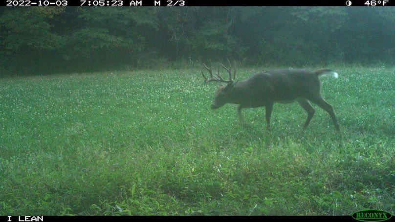 2022-10-03 07-05-23 M 2_3