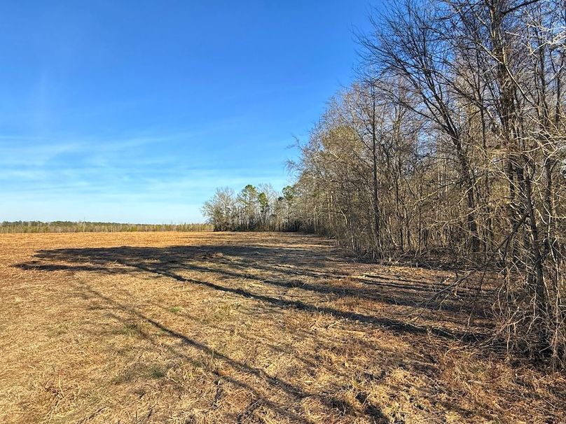 DDB83869-4656-426A-9DA3-D4DECD80DCF2